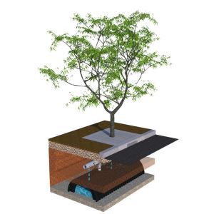 Tree Filter - Stormwater Management System – StormTree® - Sweets