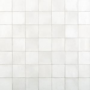 Adessi Zellige Perla Polished Ceramic Tile – Floor & Decor - Sweets