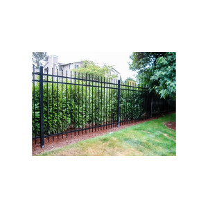 Montage Residential Steel Fence – Ameristar Fence Products - Sweets