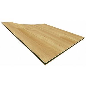 Action V Sport 710 Resilient Athletic Flooring Action Floor