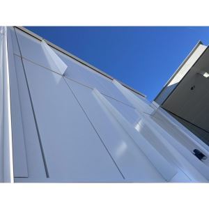 Architectural Insulated Metal Wall Panels - FWDS - Horizontal ...