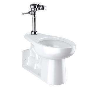 WETS-2220.1001 ST-2229 Water Closet and ROYAL 111 Flushometer – Sloan ...