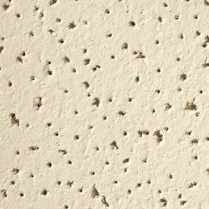 Fine Fissured 1729 Acoustical Ceiling Tile Armstrong World