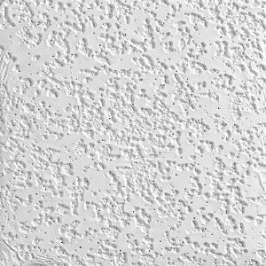 Random Fissured 2908 Acoustical Ceiling Tile Armstrong