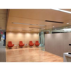 Acousticore 519 And 525 Micro Perforated Ceiling Wall Panels