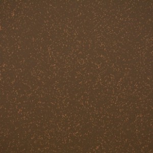 XCR4 Cork/Rubber Flooring - Forest Floor